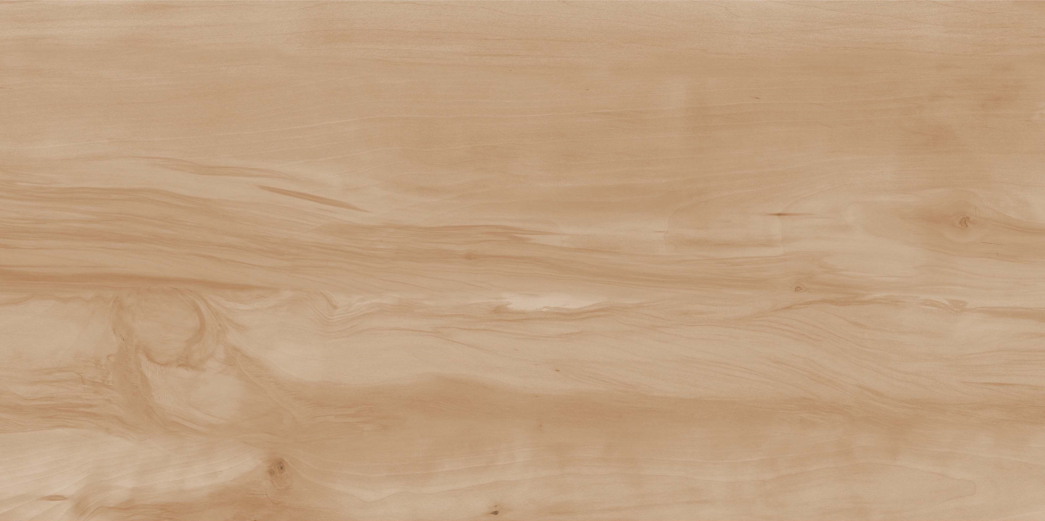 Paint Wood Bone Gloss 60x120 Realistik