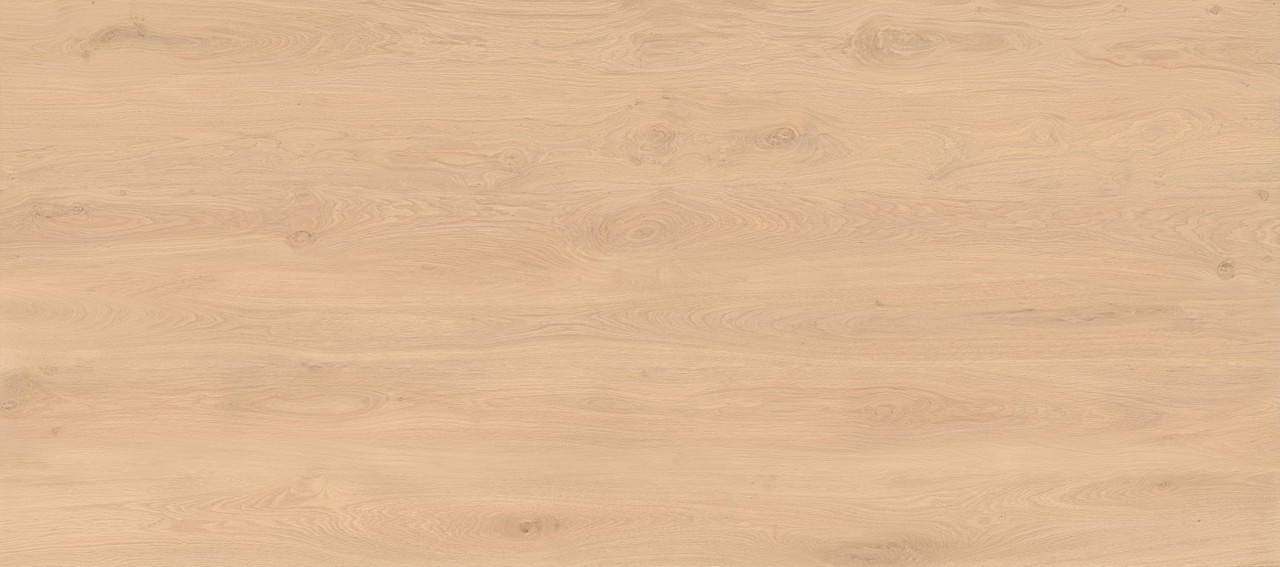 AX28 Log Bright Oak Matte 6mm 120x278 Atlas Concorde