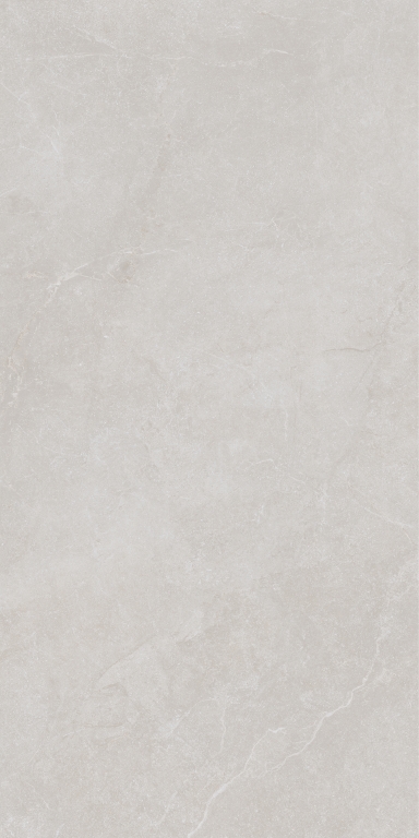 199002 Noble Stone Grey Nat Ret 60х120 Ava Ceramica
