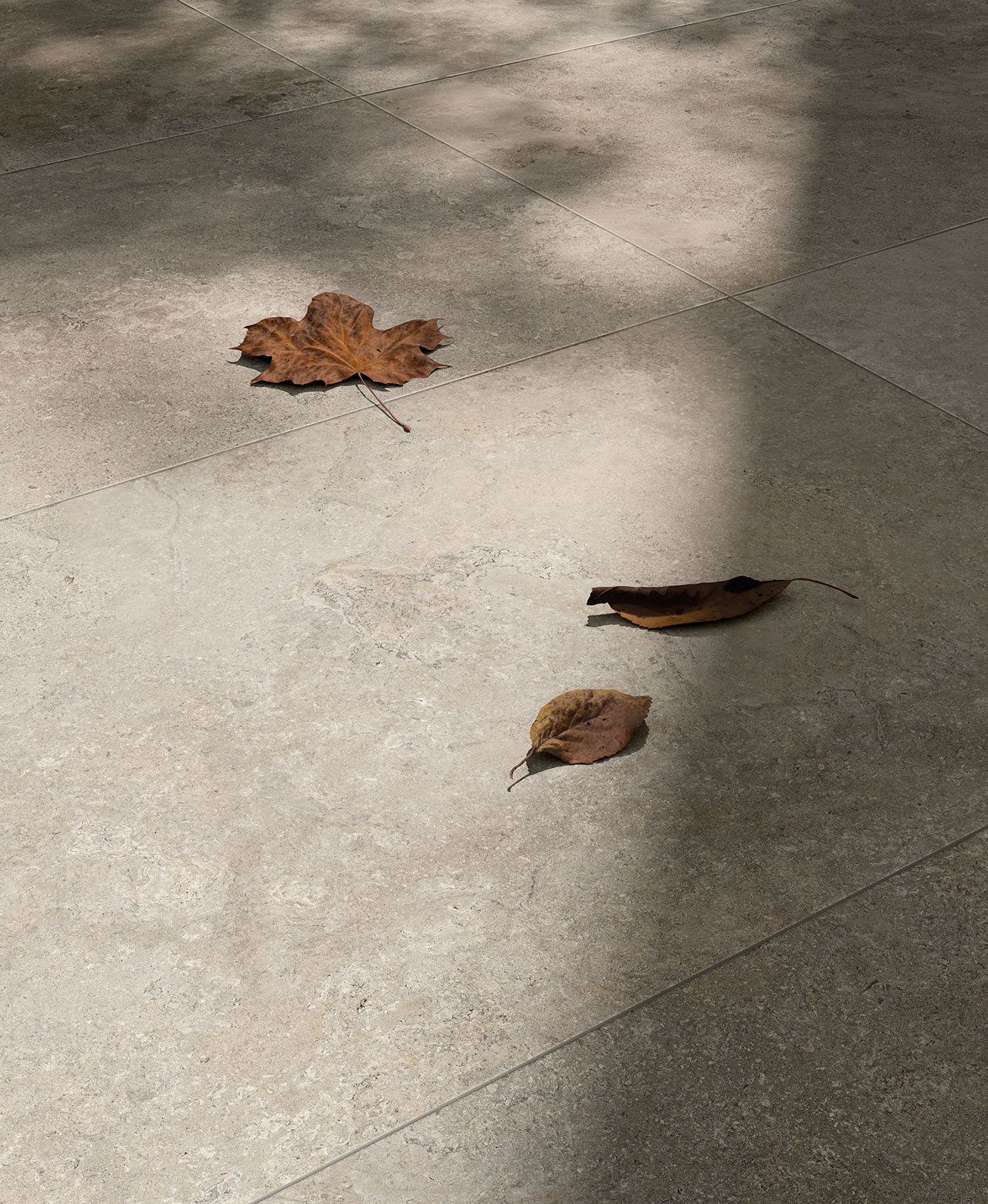 1090665 Stone Vision Golden Rett 60х120 Cercom фото 18