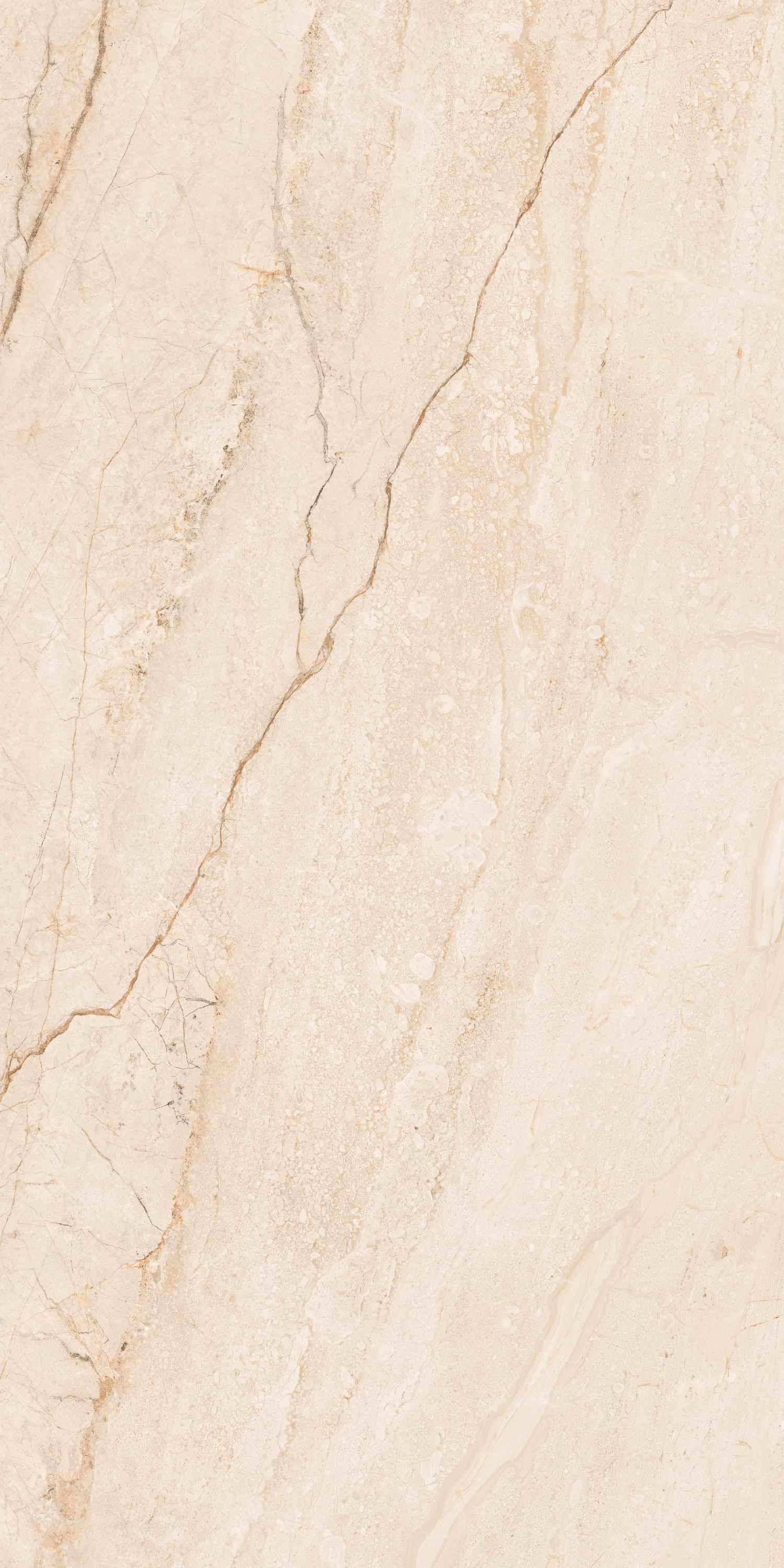 Clevado Beige Deck 60x120 BELLEZA фото 4