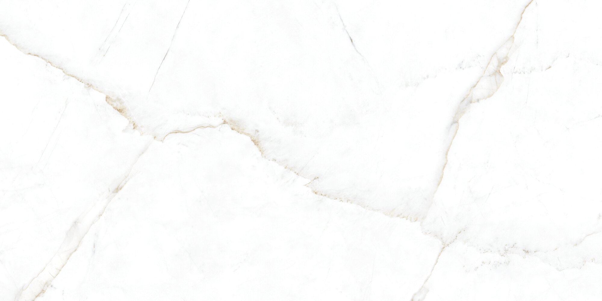 31741 Dual White EP 60x120 Peronda фото 4