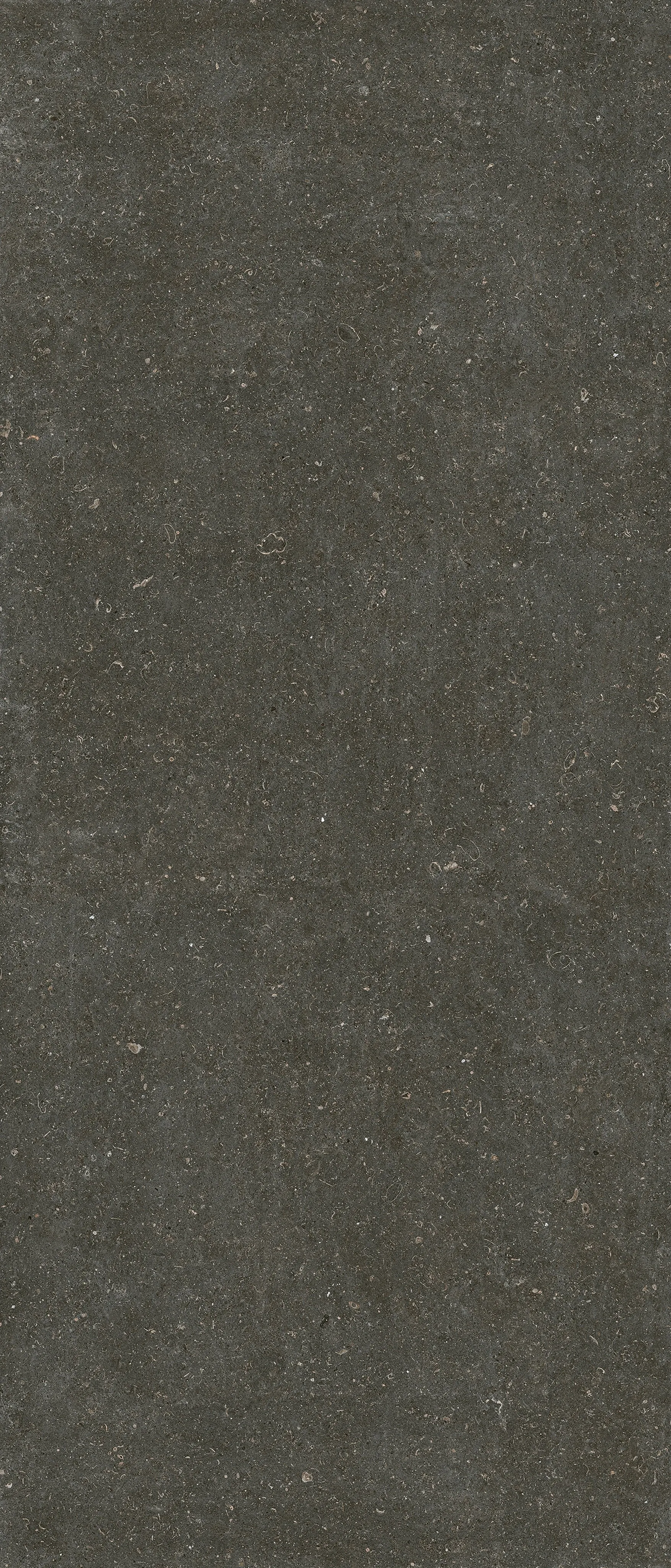 785573 Rinascenza Arena Platino Matte 6mm 120x280 Casa Dolce Casa