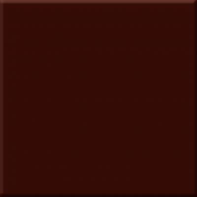 ABS0301 Marron Milano Brillo 10х10 Absolut Keramika