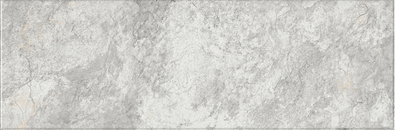 616 Image Silver 32,5х100 Eurotile Ceramica