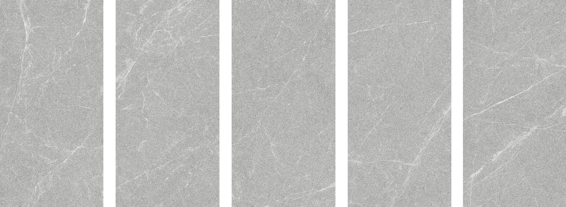 Dakota Gris Antislip R10 60x120 Staro