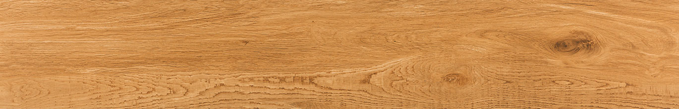 RAGUSA CAMEL 20x120 TAU Ceramica