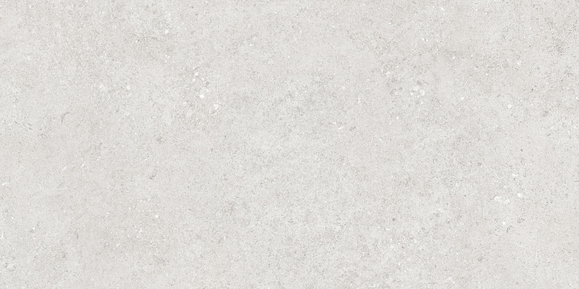 36357 Cluny Silver AS/60X120/C/R 60x120 Peronda фото 3