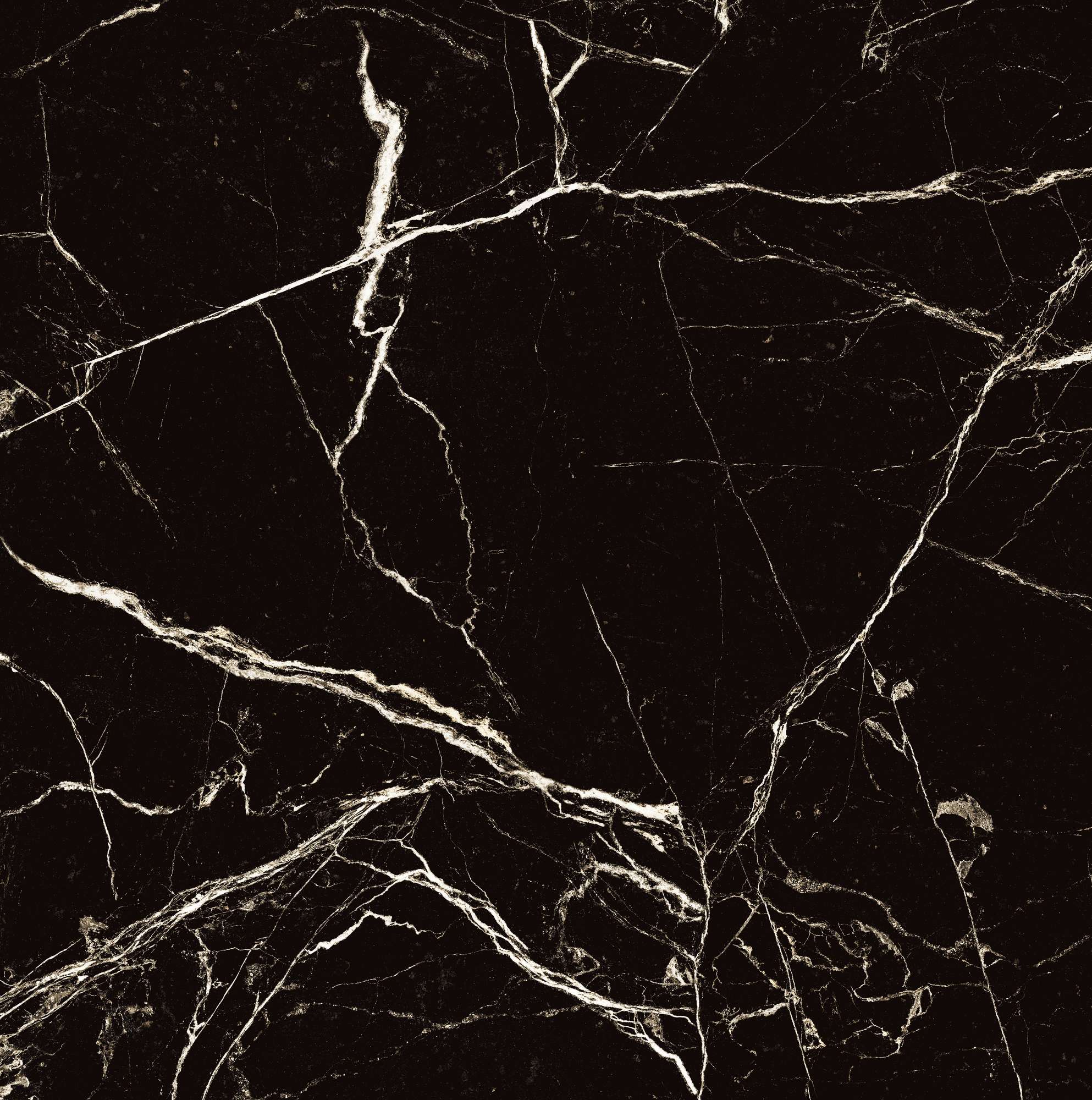 HG2008-A Black Spinder High Gloss 60x60 Arcadia Ceramica