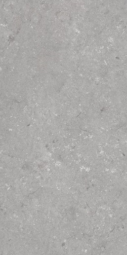 005485 Shellstone Grigio 60x120 Dado Ceramica