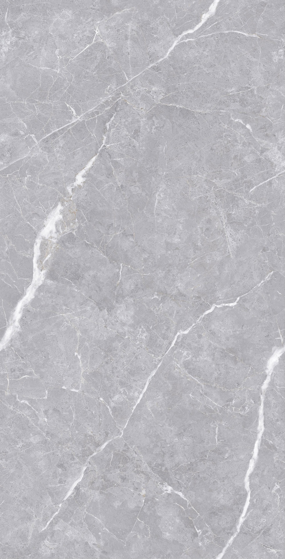 Luanda Polished Silver Carving 60x120 Realistik фото 6