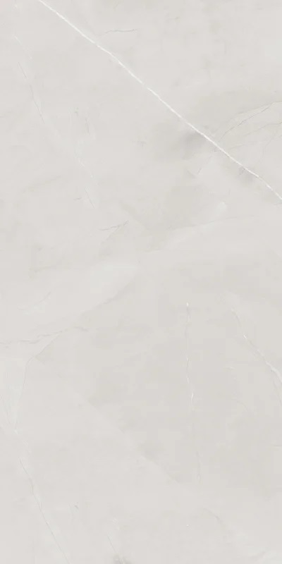 Armani Harbor Silver Glossy 60х120 Embito Granito