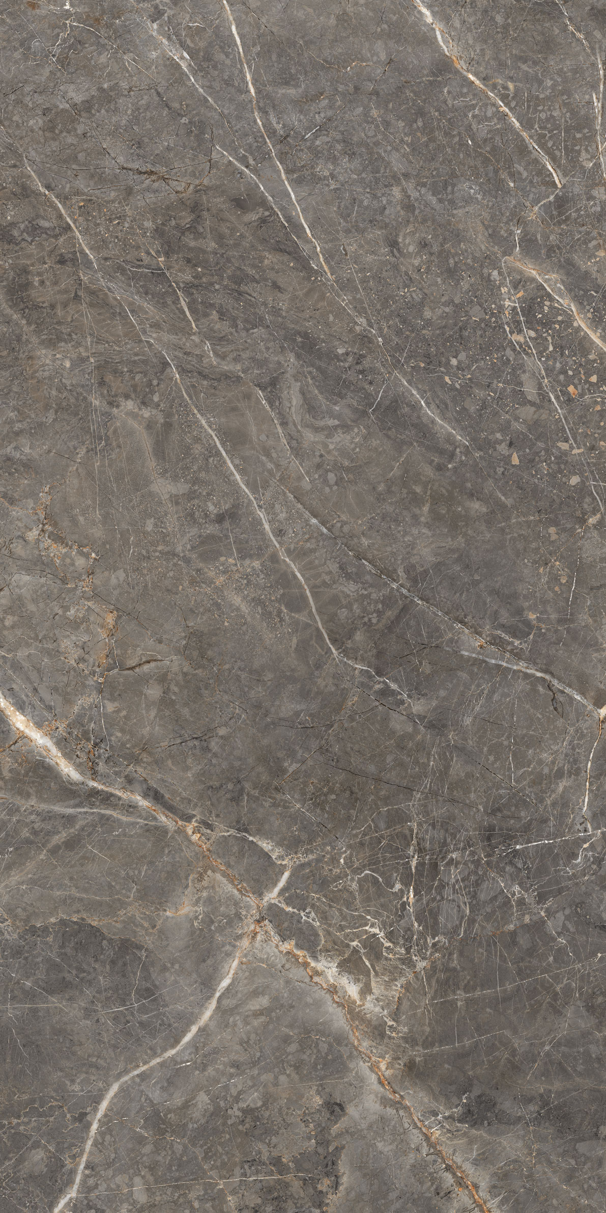 GT1206023109MGR Salsa Темно-серый 60x120 Global Tile фото 8