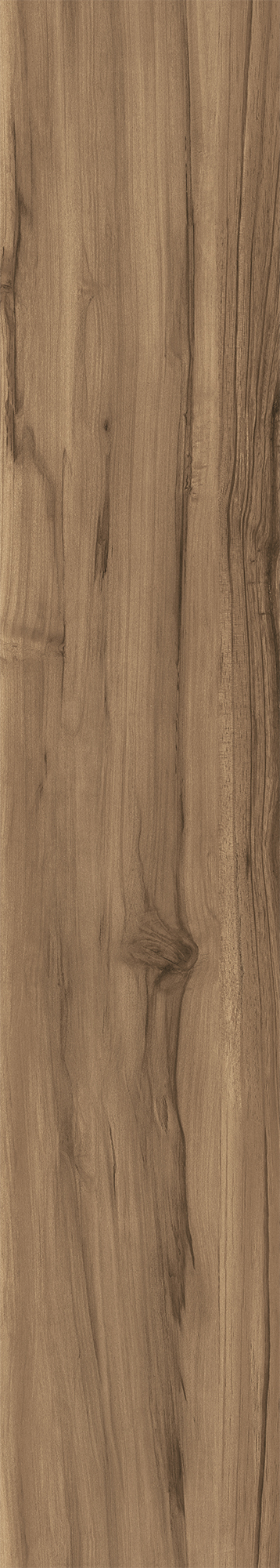 CW-RT10-B Fossil Wood Wenge Rustic 20x120 Creanza