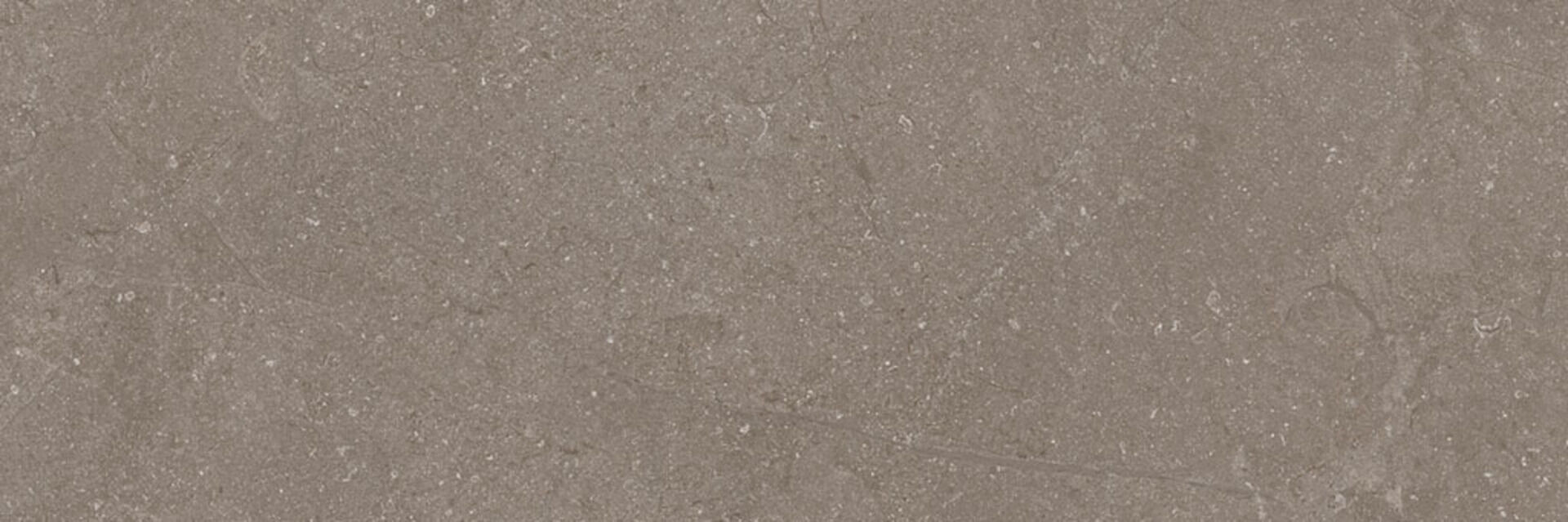 Next Taupe 40x120 El Molino