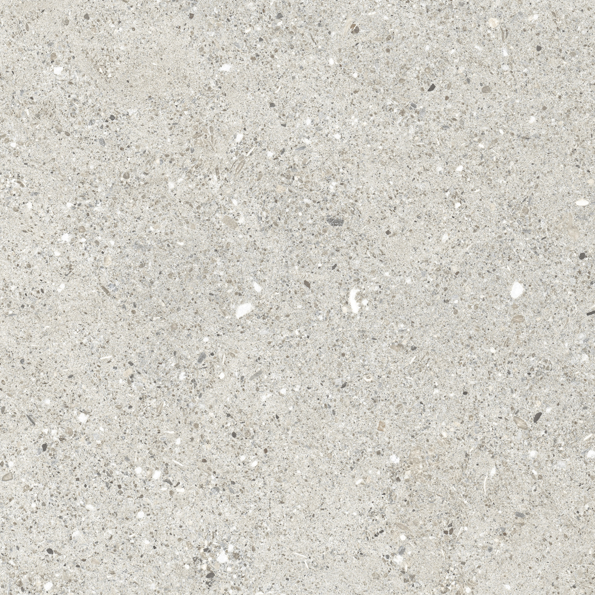 CR6012G0471R Granito Grigio серый матовый 59,5х119,1 Ceradim фото 5