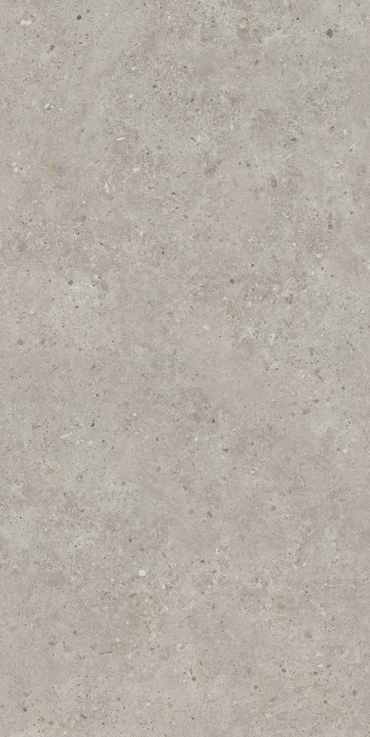 SG519920R Риккарди серый светлый матовый обрезной 60х119,5 Kerama Marazzi фото 3