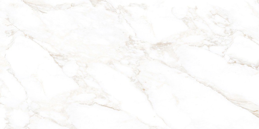 NTT99526M Marble Extra Endless 60x120 NT Ceramic
