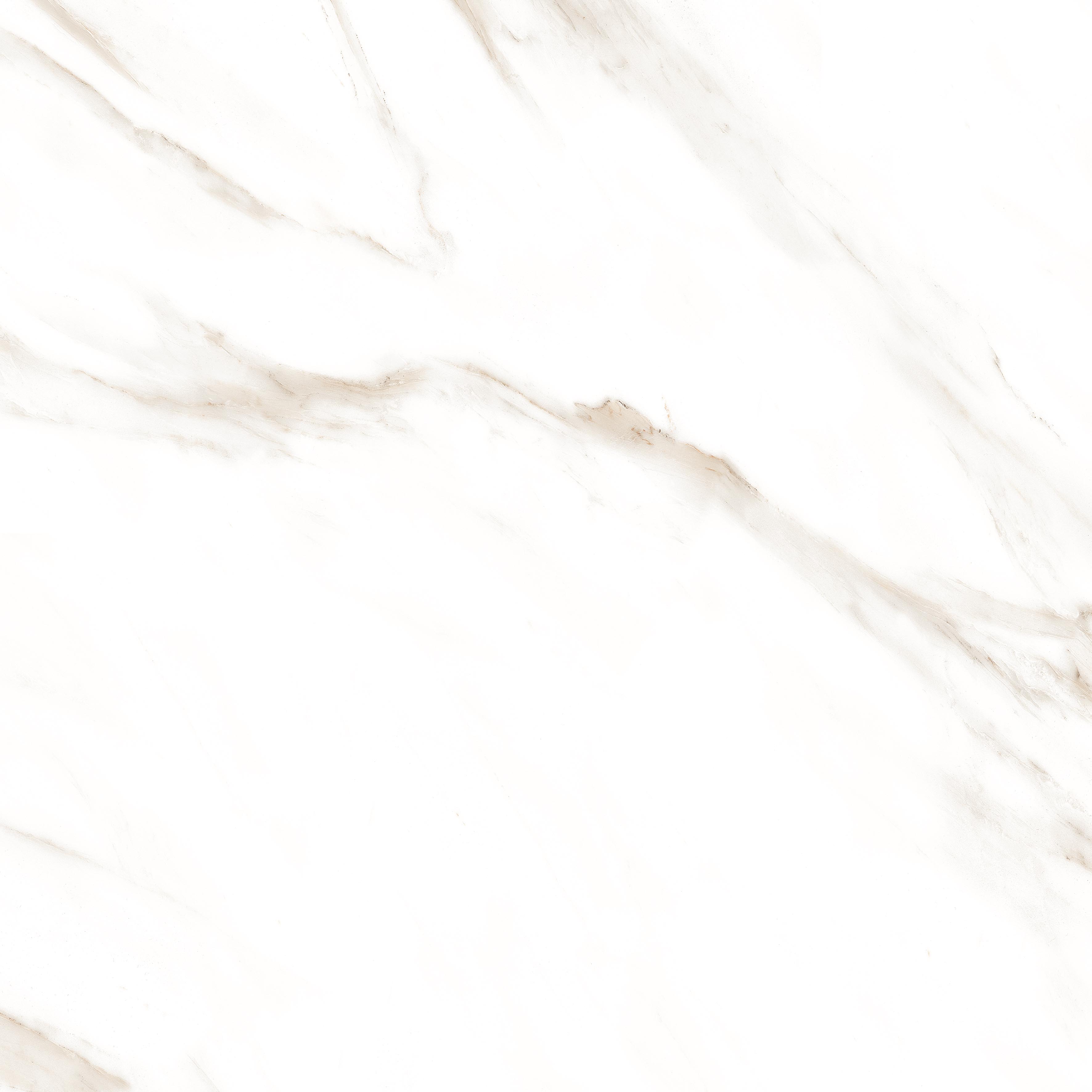 Statuario Brown Glossy 60x60 Modern Tile