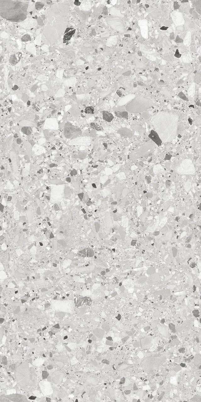 RS 1029 Grey Carving 60x120 BELLEZA фото 6