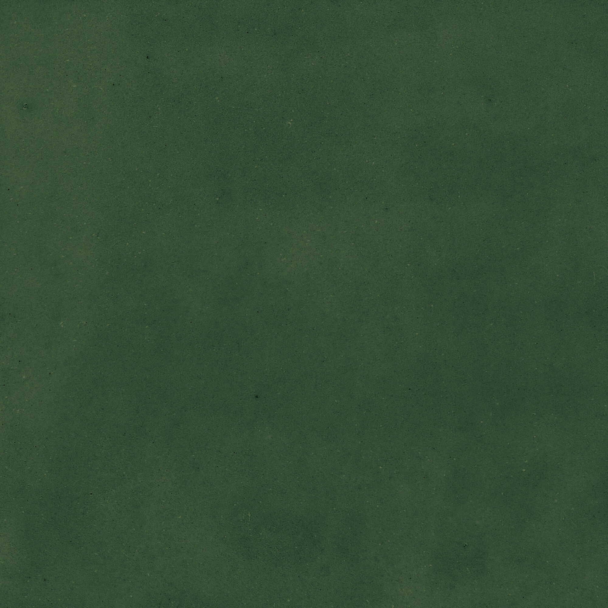 43289 Samira Green 10x10 Harmony фото 41