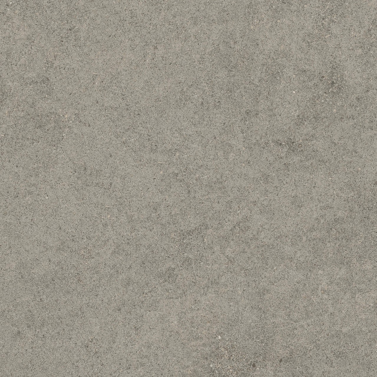 610010005836 Forte dei Marmi Rock Lunar Grey Lastra 20mm 60x60 Atlas Concorde Russia