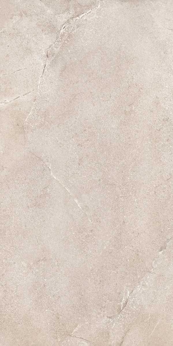 DNWS201 New Stone Daino 60x120 Dado Ceramica
