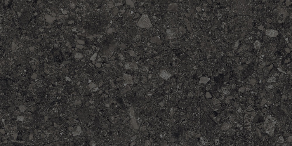 Ceppo Di Nero GHR 60x120 Duna