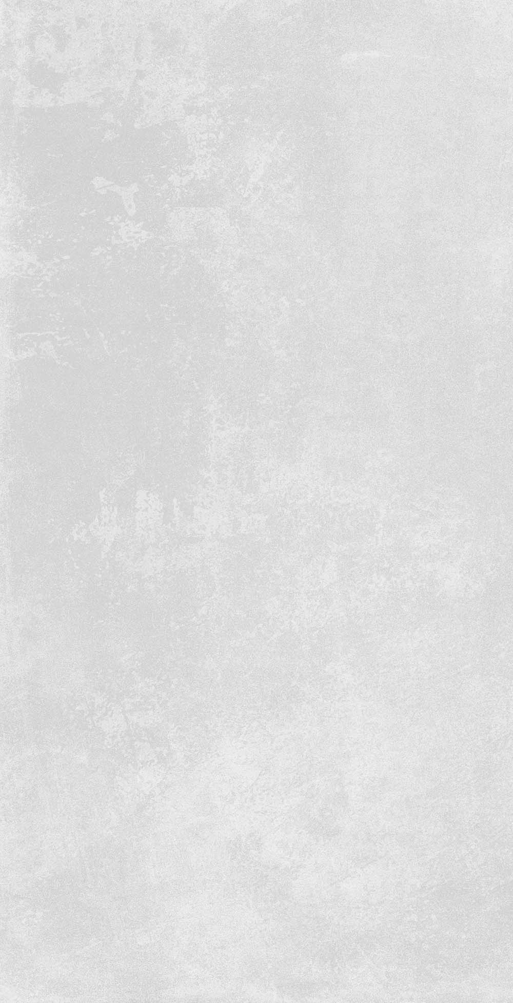 Organic Grey RC 60x120 Azulev фото 14