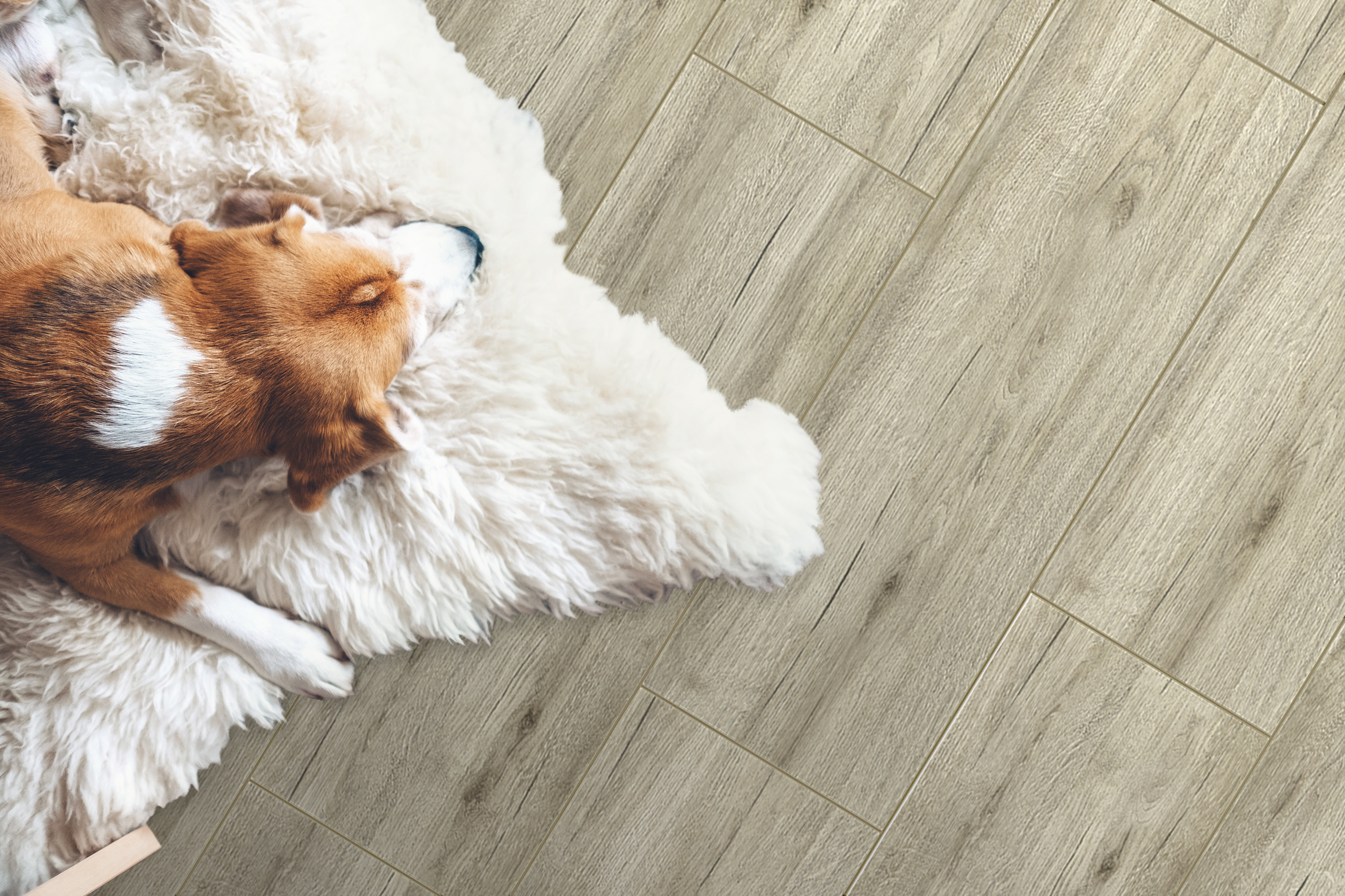 Джизак Global Tile фото 2