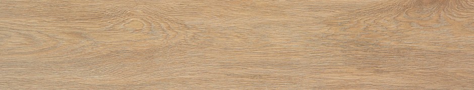 Tacora Camel Mt Rect 23x120 STN Ceramica
