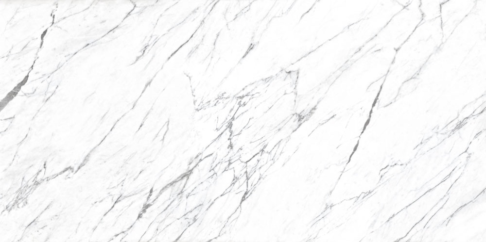 FPK00MQ011 LM STATUARIO MC 100X200 Roca Ceramica