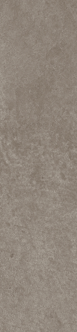 Scs Spectra Moshroom 5,8х25 Simpolo Ceramics