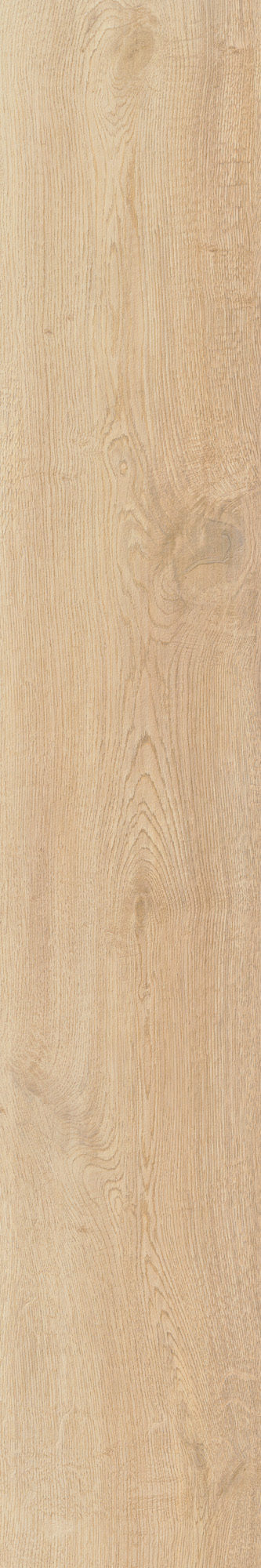 AHG9 Rever Anise Matt RT 20х120 Caesar