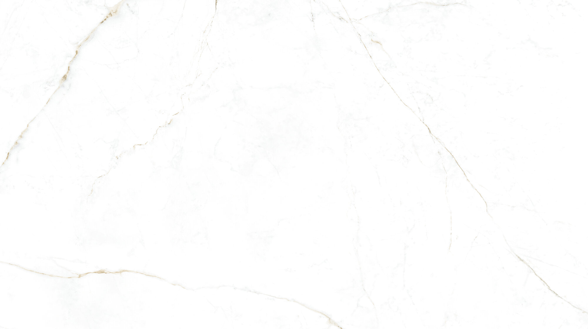 31744 Dual White SP/100X180/R 100х180 Peronda фото 2