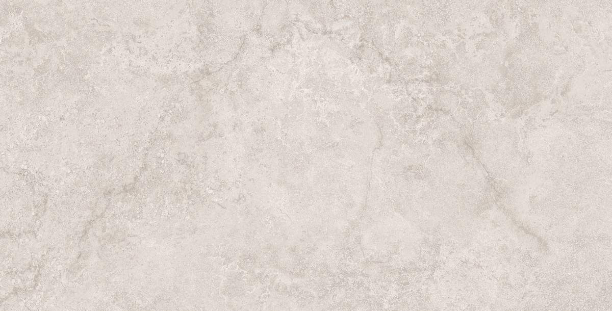 N40070 Stone Duomo Grey Matt Str 60x120 Neodom фото 4