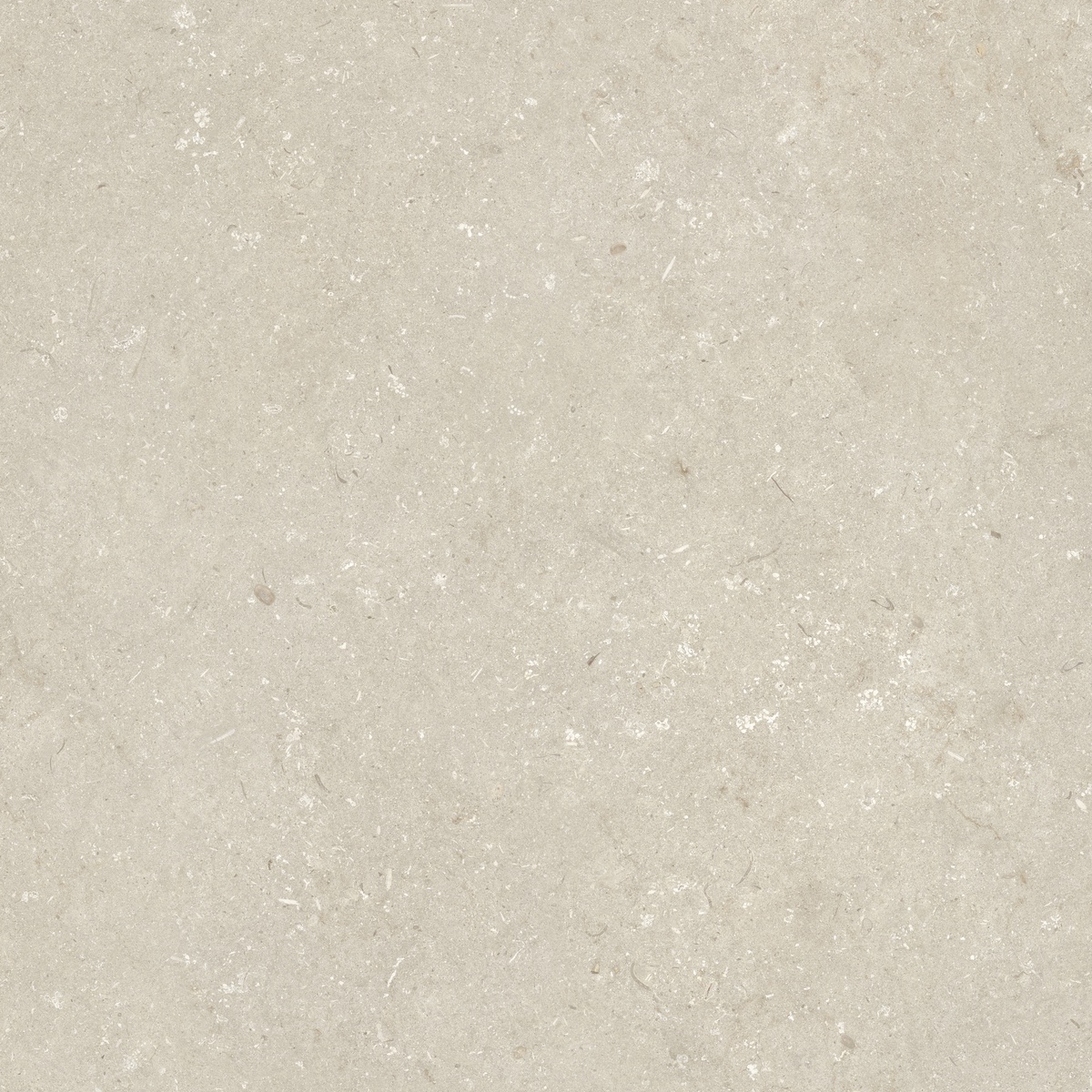 005848 Shellstone Beige 120x120 Dado Ceramica