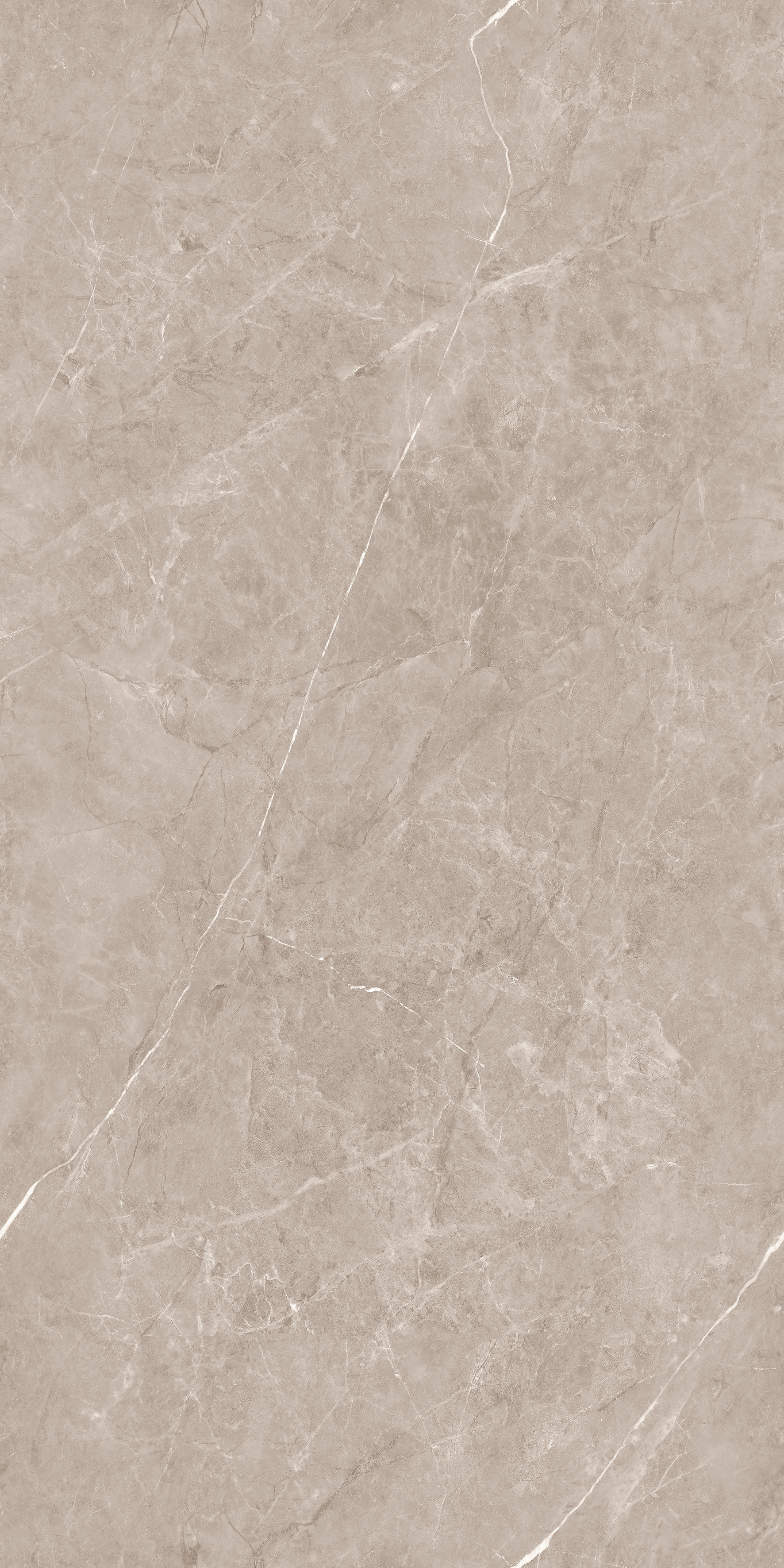 Flurry Taupe Carving 60x120 Duna фото 2