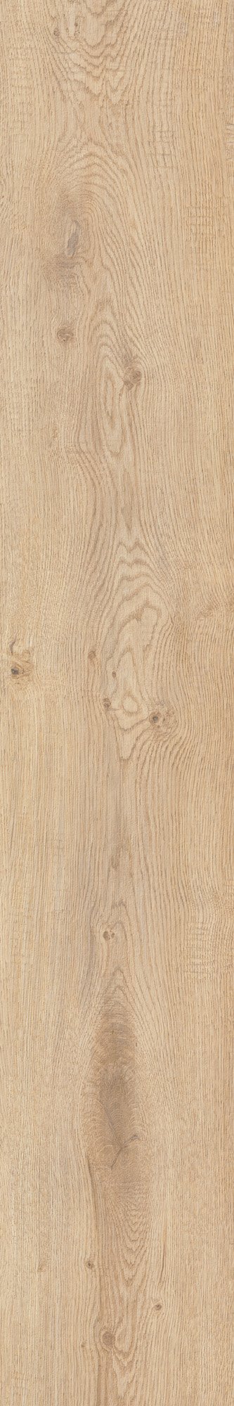 AHG9 Rever Anise Matt RT 20х120 Caesar