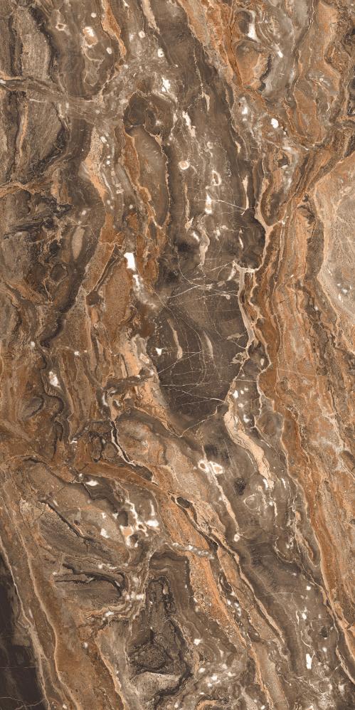 GR204 Richter Brown High glossy 600x1200 PrimaVera