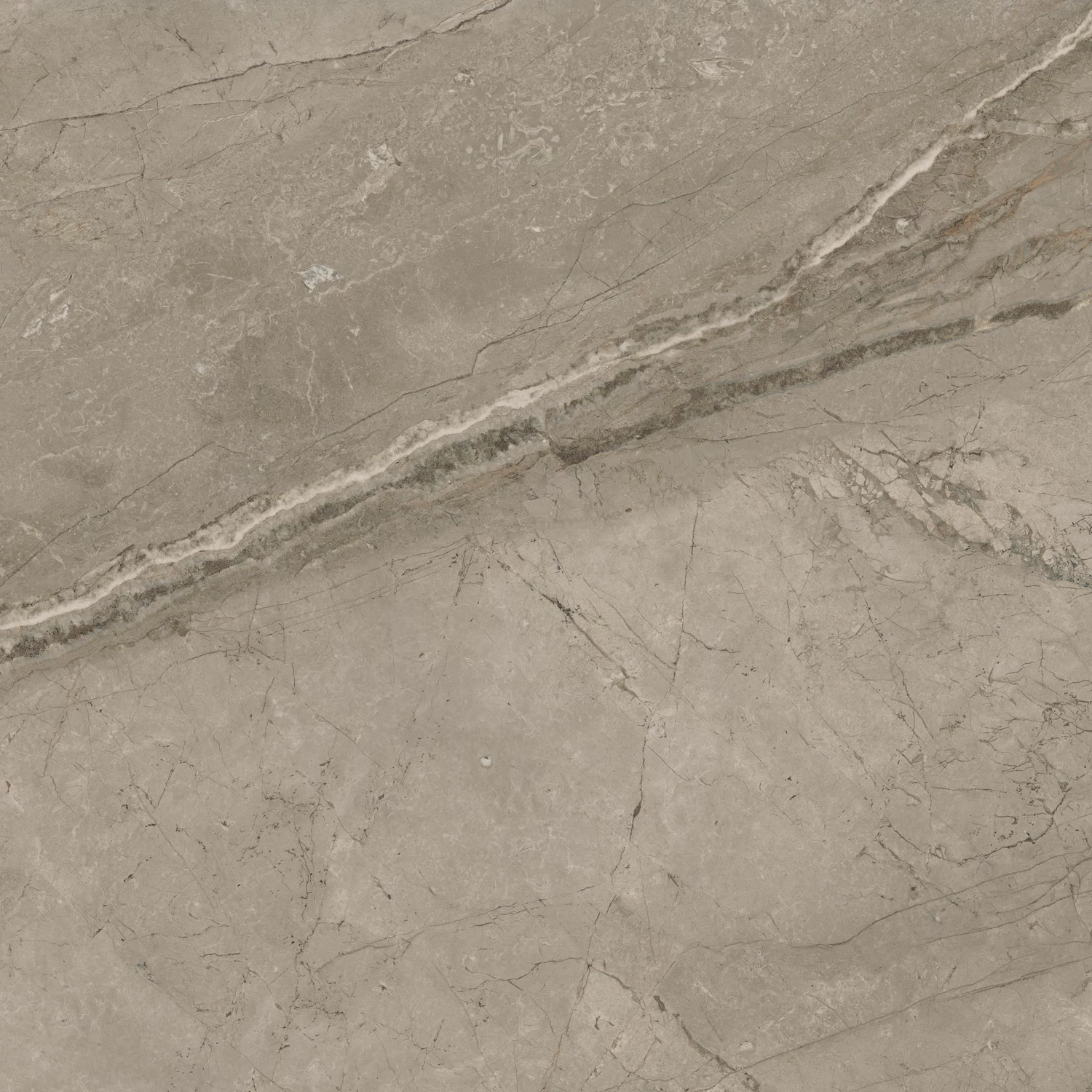 610010002719 Forte dei Marmi Mystic Grey Rett 80x80 Atlas Concorde Russia