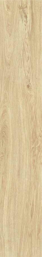 ZC 1223096 rect. 20x120 Bonaparte
