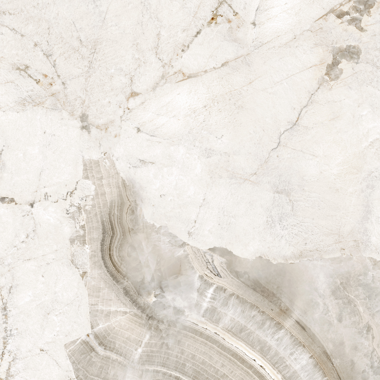 D60256М Seashell матовый 600x600x9.5 New Trend