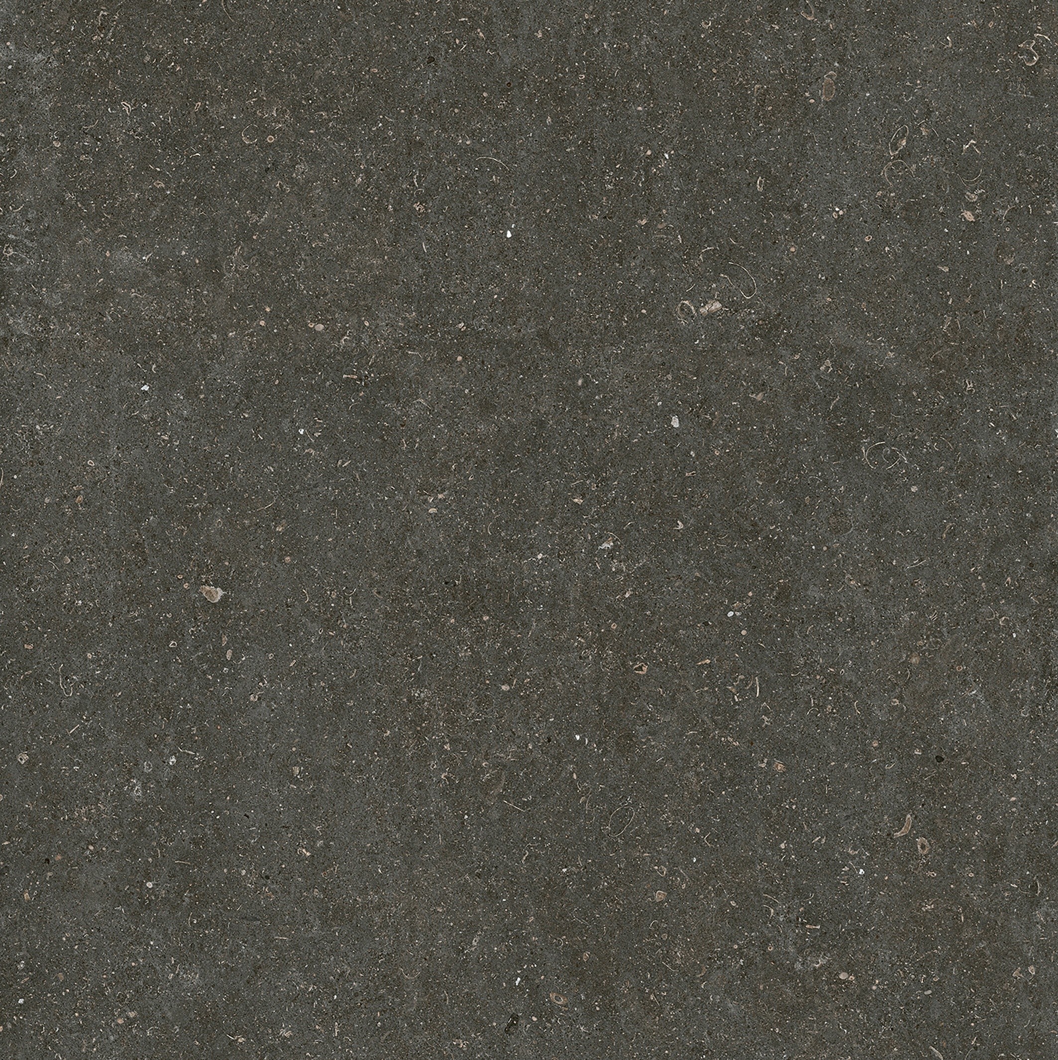 785581 Rinascenza Arena Platino Matte 6mm 120x120 Casa Dolce Casa фото 4