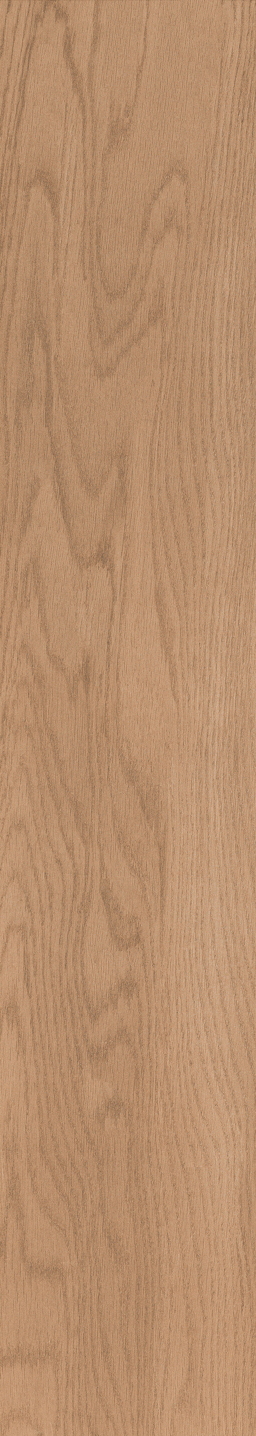 1057 Torino Brown Mate 120x20 Artcer