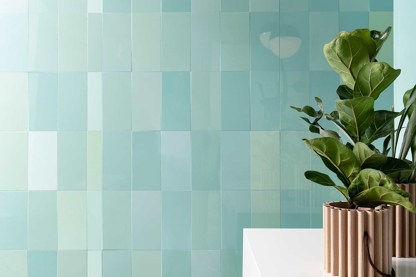 9000198 Cromatica Gradiente Grigio Verde Luc 6mm 360x240 Cedit
