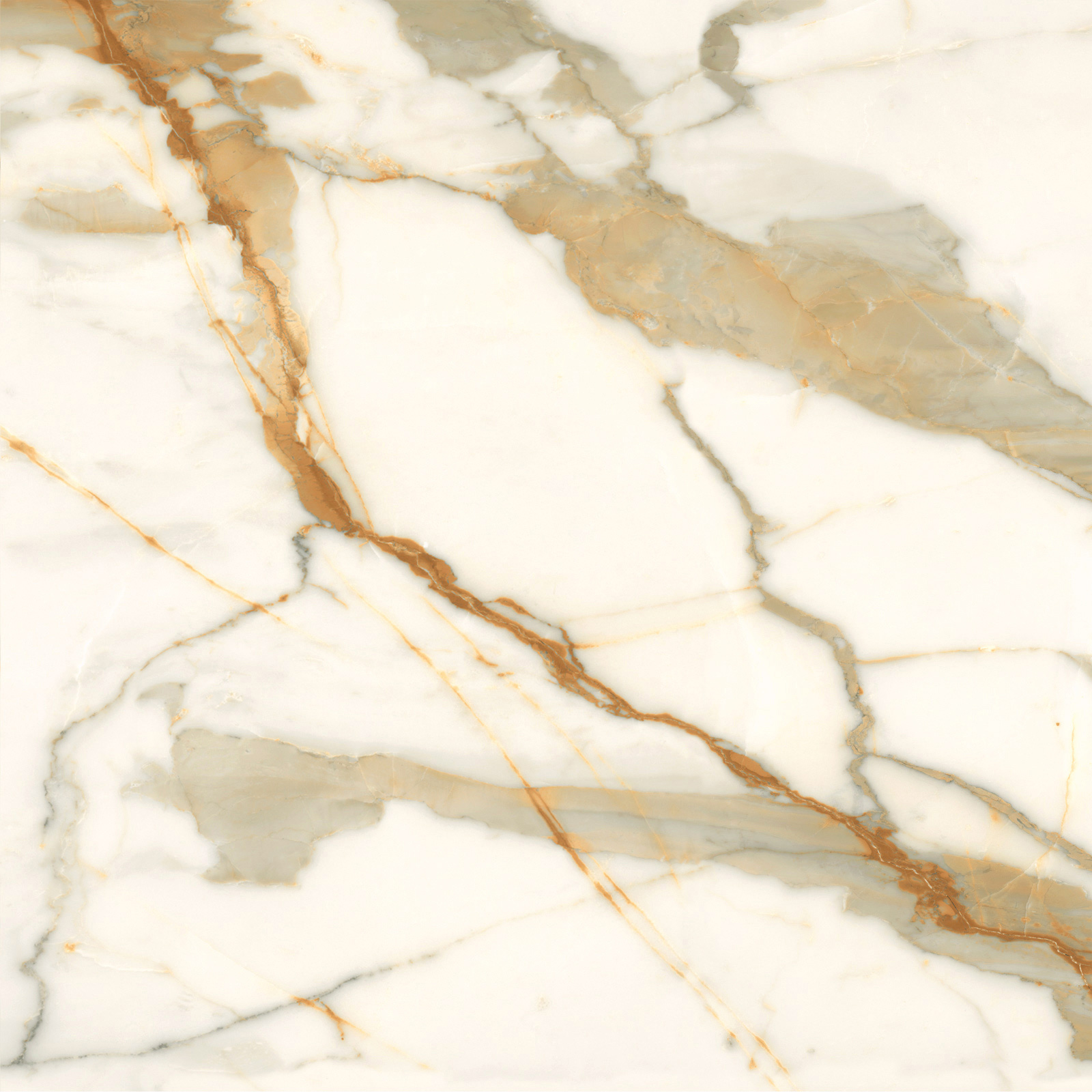 6060CBO55P Calacatta Borghini 60x60 LCM