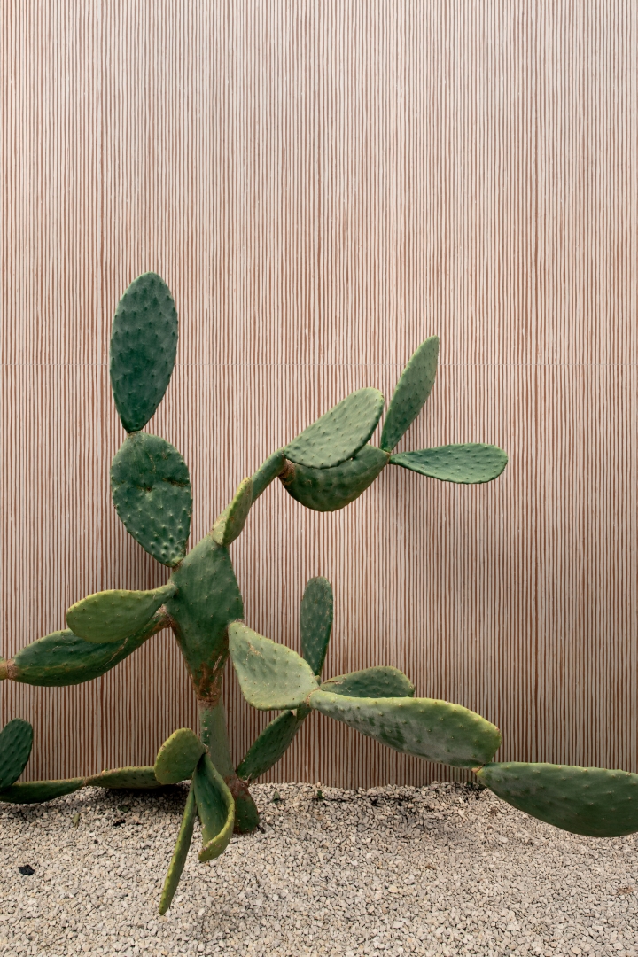 781826 Sensi Terre Amaranto Nat Spina 23x44 Casa Dolce Casa фото 53