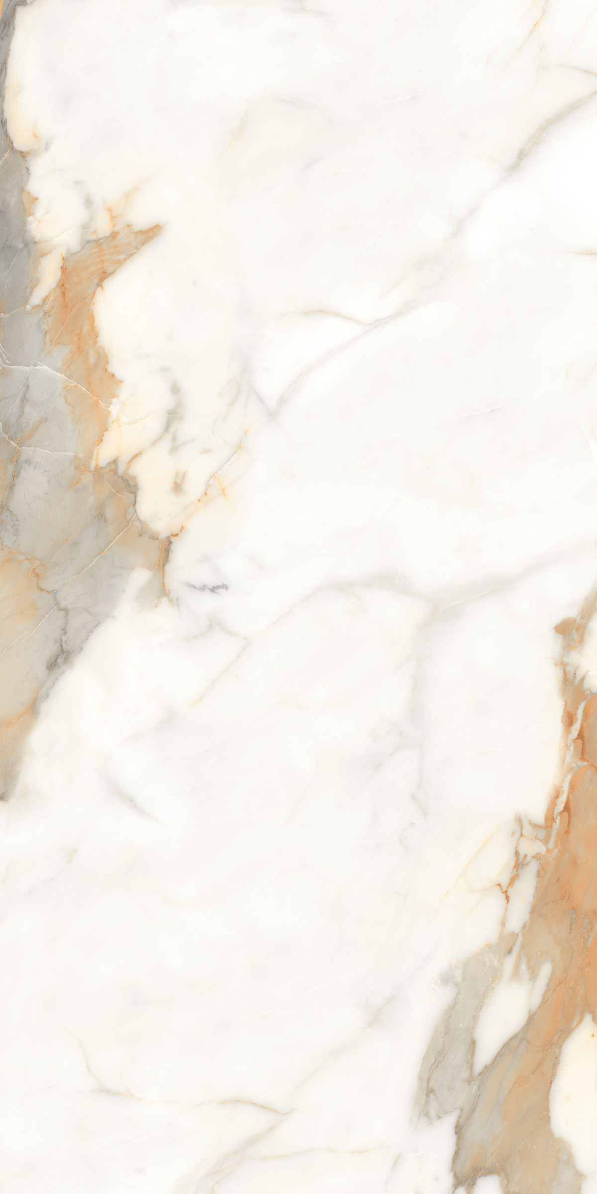 888 Calacatta Gold 120x60 Artcer