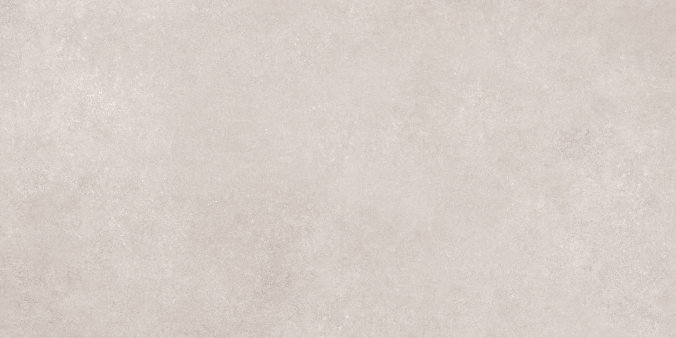 17533 Still светло-серый ректификат 60x120 Meissen